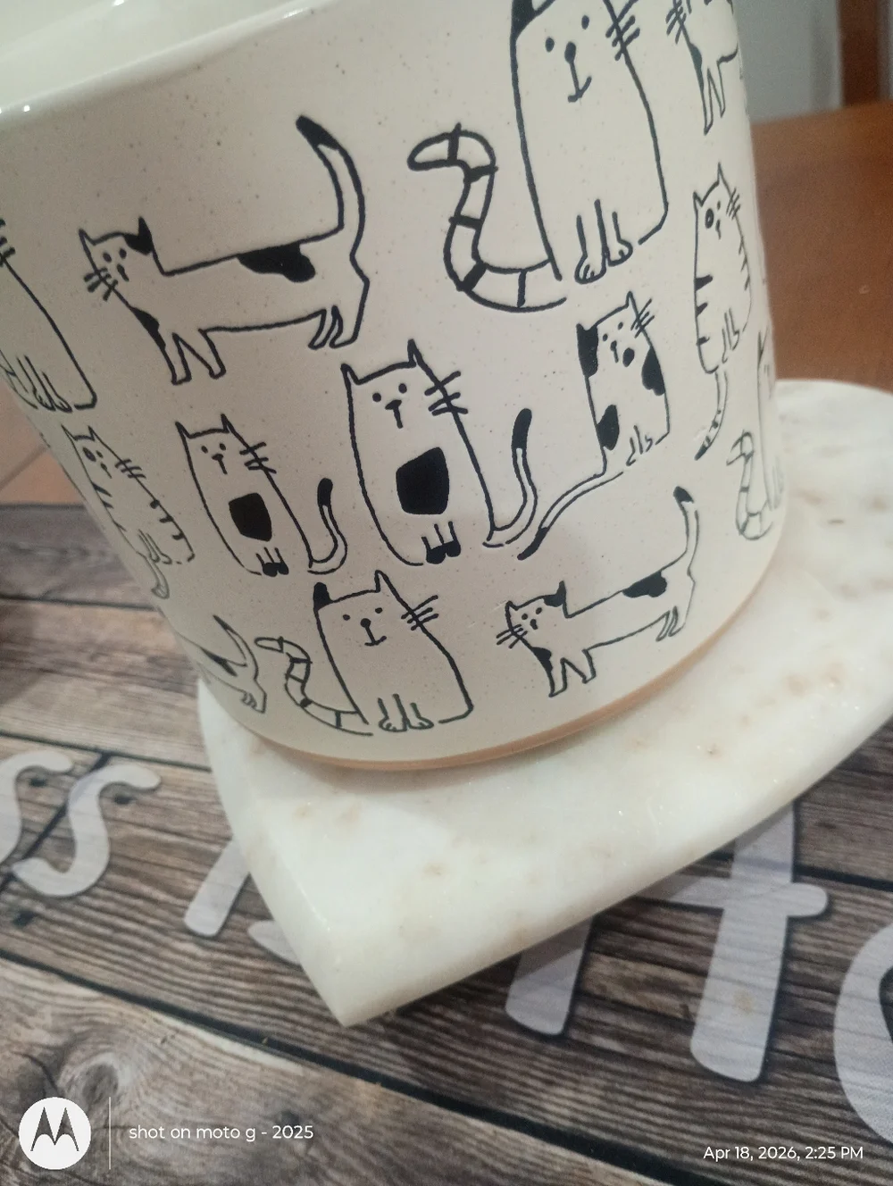 Cat planter All Over Print - Picture 8 of 10